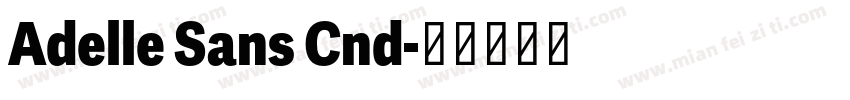 Adelle Sans Cnd字体转换